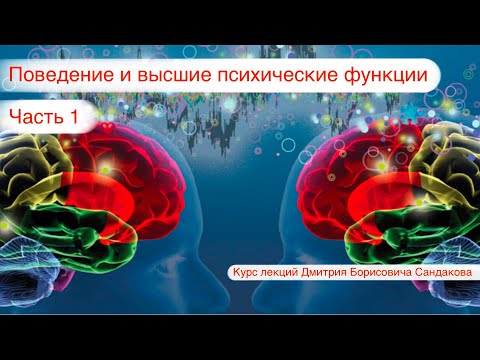 Видео: Лекция 24. Поведение и высшие психические функции (часть 1)
