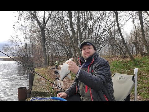 Видео: Братеевская Пойма! Фидерная рыбалка! НМР