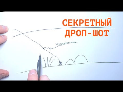 Видео: Секретный ДРОП-ШОТ на хищную рыбу!