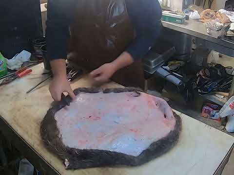 Видео: Бобровый мех после снятия шкуры. Выскоблите, растяните (в обруч), высушите, почистите и уберите н...