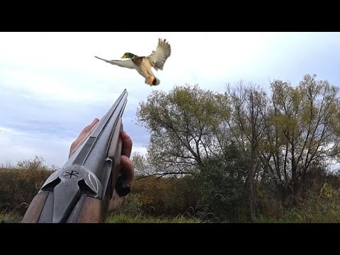 Видео: ВСЕ КАК В ТУМАНЕ! ВЫСТРЕЛ ДЫМНЫМ ПОРОХОМ! Охота на утку с подхода в компании с папой.