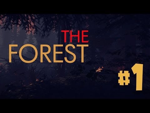 Видео: The Forest с Бэлой!  #1 КРУШЕНИЕ И ПЛЕН