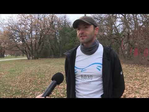 Видео: Необичайна среща между вълк и куче в парк Кенана