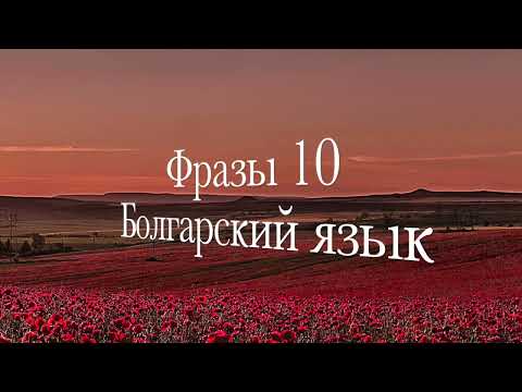 Видео: Фразы на болгарском для изучения разговорного языка.