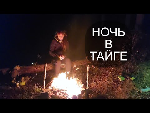 Видео: НОЧЬ в ТАЙГЕ, в ГАМАКЕ с ШИКАРНЫМИ ВИДАМИ.