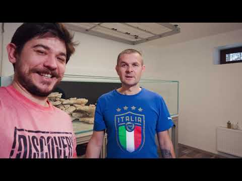 Видео: MegaTank/ Монтаж трубопровода в морском аквариуме PVC