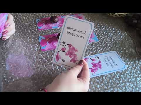 Видео: Мислите му към ТЕБ! 🩷🫶🕊️