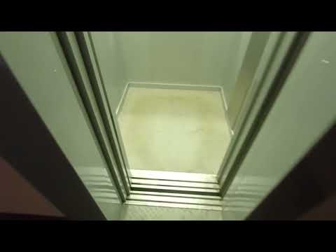 Видео: Двери хлопают при закрывании! Лифт Meteor Lift 2023г @ Ул Коммунаров, 114, подъезд 4