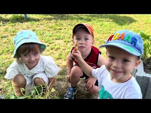 Видео: У дитсадку город ми маємо, за ним гарно доглядаємо