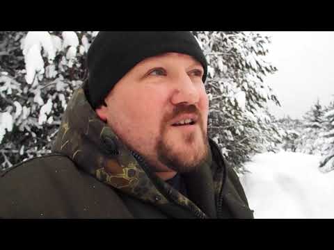 Видео: как выбрать щенка лайки