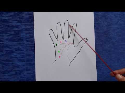 Видео: Направление и окончание линии Головы. Часть 4. Хиромантия
