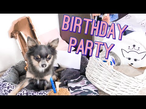 Видео: Рожденият ден на кученцето ми | Дневничето на Арчи