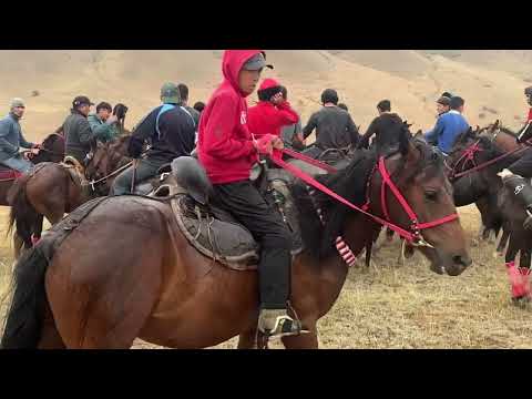 Видео: Абыз ата – Тоғыз рухын ұлықтауға арналған көкпар ойыны