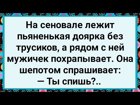 Видео: Как Доярка на Сеновале с Мужичком Лежала! Большой Сборник Свежих Смешных Жизненных Анекдотов!