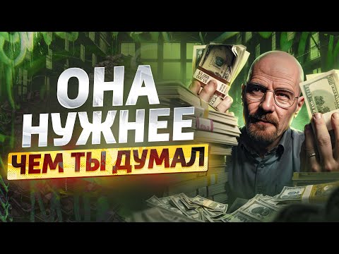 Видео: МАТЕМАТИКА удвоит твою зарплату ПРОГРАММИСТА. Что надо учить?