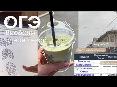 Видео: СДАЮ ОГЭ 2024/ *очень веселые деньки* | Sofi Engeleva