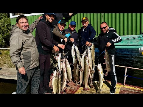 Видео: НАРВАЛИСЬ НА ЖОР КРУПНОЙ ЩУКИ. ЛЮТЫЕ ПОКЛЕВКИ ЗУБАСТОЙ.