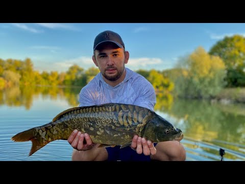 Видео: Денна риболовля на флєт фідер, роздача коропів!!