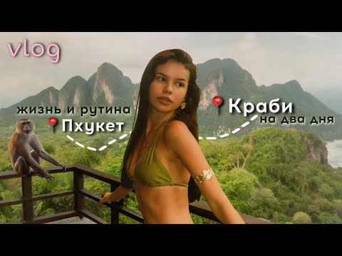Видео: 2 ДНЯ НА КРАБИ🇹🇭 Новый цвет волос, обезьяны и рутина на Пхукете🌴🐒