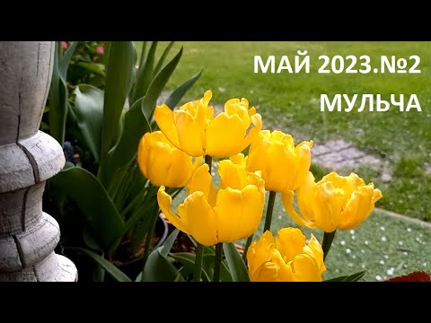 Видео: Май 2023. №2. Мульча.