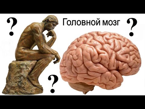 Видео: Неразгаданные тайны мозга (рассказывает Татьяна Черниговская)