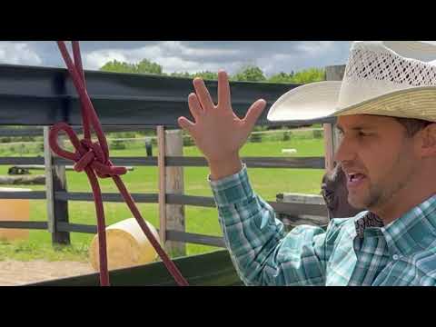 Видео: Три узла, которые должен знать каждый владелец лошади