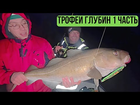 Видео: Рыбалка в Норвегии  - Трофеи глубин Langfjorda 1 часть. Fishing in Norway - Deepwater Trophies of La