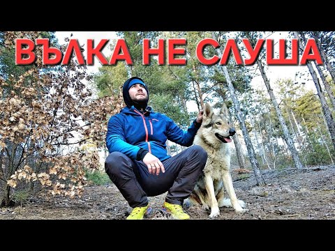 Видео: ХВАНАХМЕ ГОРАТА