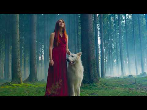 Видео: Y.K. Music - А вітер-брат співа пісні (Official Music Video)