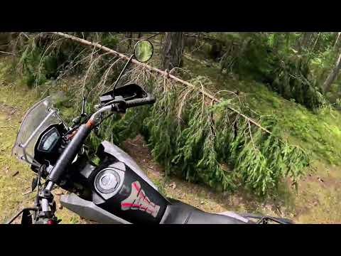 Видео: Minsk goose 400. Покатушка в лес.