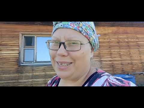 Видео: Из семян гибридов огурцов что вырастет...тыква🤣🤣🤣 Муж не помогает, значит не любит и не ценит?...