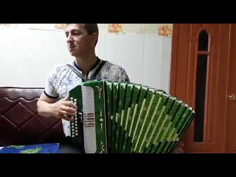 Видео: Китмэ син. Белорусь гармунында.