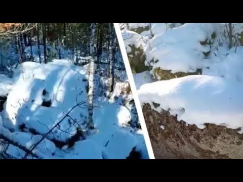 Видео: В Госдуме сделали заявление о пропавших Усольцевых 
