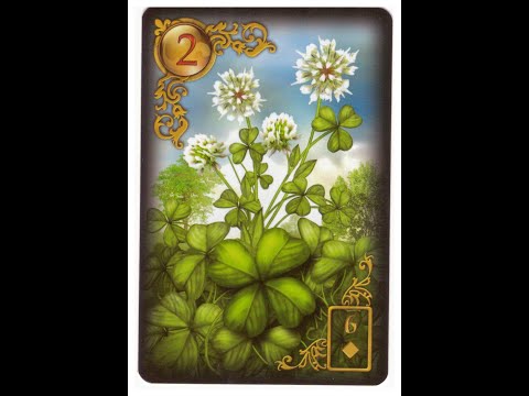 Видео: Уроки Ленорман 2 Клевер