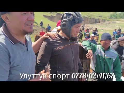 Видео: Аажылар улак берди