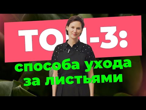 Видео: Как добиться блеска листьев растений
