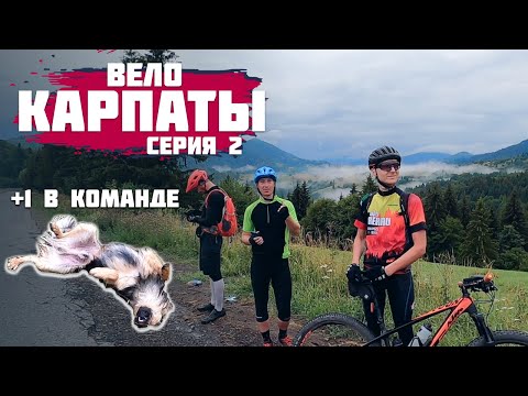 Видео: КАРПАТЫ НА ВЕЛОСИПЕДЕ 2022 | ОТ ПИЛИПЦА ДО БУКОВЕЛЯ НА ВЕЛОСИПЕДЕ