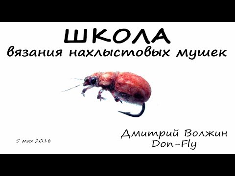 Видео: Школа вязания мушек 05.05.18. Beetles