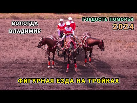 Видео: Фигурная езда троек - Вологда и Владимир - Гордость Поморья 2024