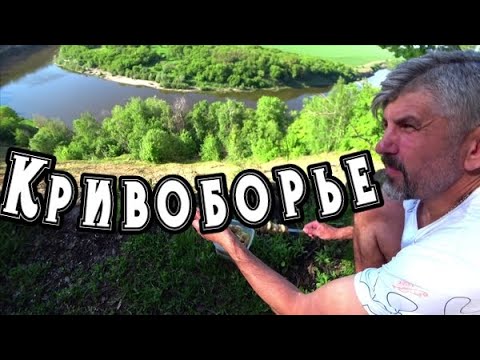 Видео: Воронеж/самостоятельные путешествия на машине/река Дон. Урочище Кривоборье/маршрут выходного дня.