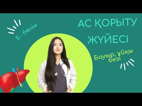 Видео: Ас қорыту жүйесі| БАУЫР, ӨТ ҚАБЫ, ҰЙҚЫ БЕЗІ