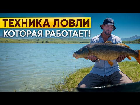 Видео: КАК ЛОВИТЬ КАРПА НА ПЛАТИНКЕ? КЛЕВОЕ МЕСТО