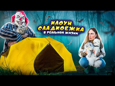 Видео: КЛОУН СЛАДКОЕЖКА В РЕАЛЬНОЙ ЖИЗНИ В НАШЕЙ ПАЛАТКЕ С КОТАМИ И СОБАКОЙ