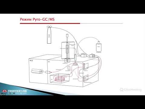 Видео: Пиролитическая хроматография на службе у нефтяной геохимии Роман Герасимов, Frontier Lab