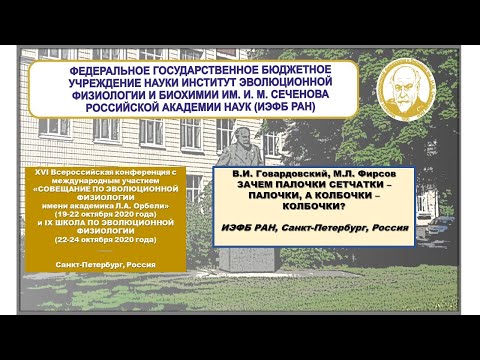 Видео: В.И. Говардовский, М.Л. Фирсов ЗАЧЕМ ПАЛОЧКИ СЕТЧАТКИ – ПАЛОЧКИ, А КОЛБОЧКИ – КОЛБОЧКИ?