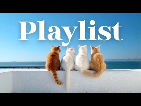 Видео: 💿 Плейлист [café] 🎧 Нежный и groovy pop 💫 💗