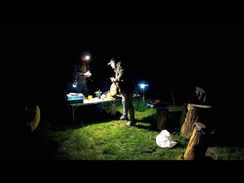 Видео: Рибалка на коропа та карася на Дніпрі.