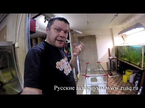 Видео: Как выбрать аквариум