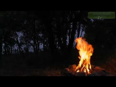 Видео: Звуки Природы для Медитации.Костер, шум Моря, пение Сверчков для Медитации, Релаксации, Сна и Отдыха