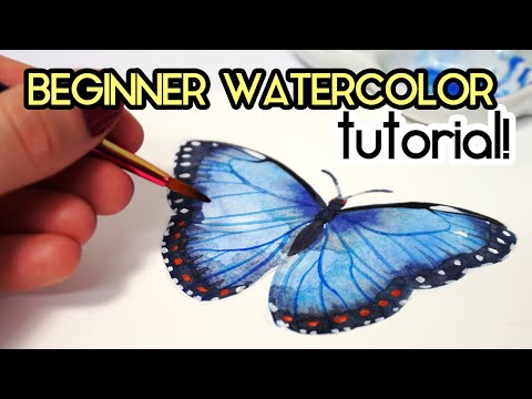 Видео: ПРОСТОЙ УРОКИ АКВАРЕЛИ ДЛЯ НАЧИНАЮЩИХ: Как нарисовать бабочку!